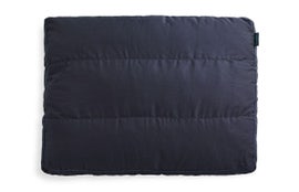 Sactionals Deep Back Pillow Insert: Standard